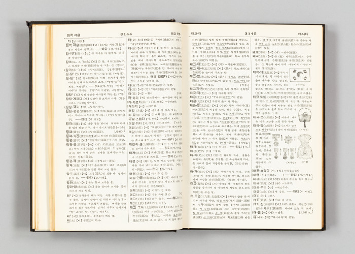 Joseonmal Keun Sajeon