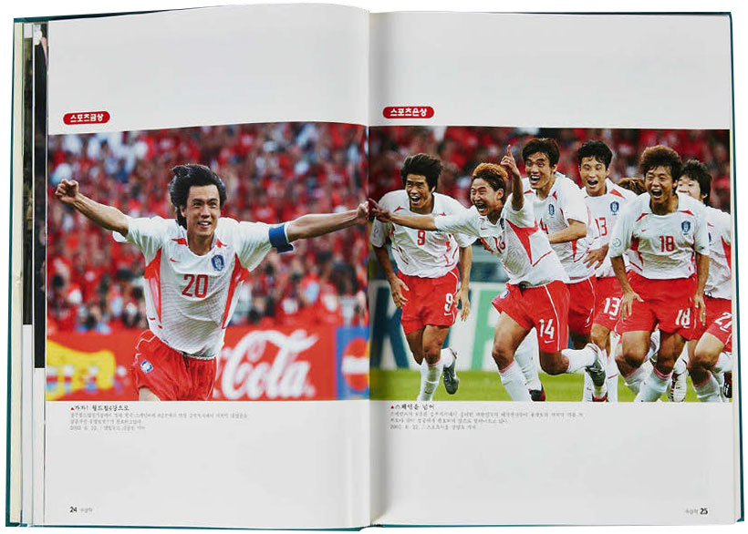 2002 한일 월드컵 2002 한일 월드컵